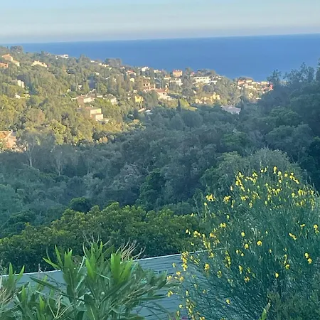Comtesse Du Sud, Traumhafte Mit Privatpool By Riviera Homelife Management